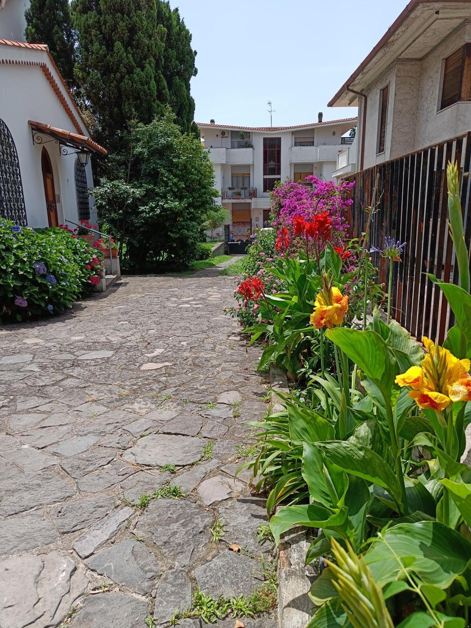 Casa Olivella Apartamento Torre del Greco Exterior foto