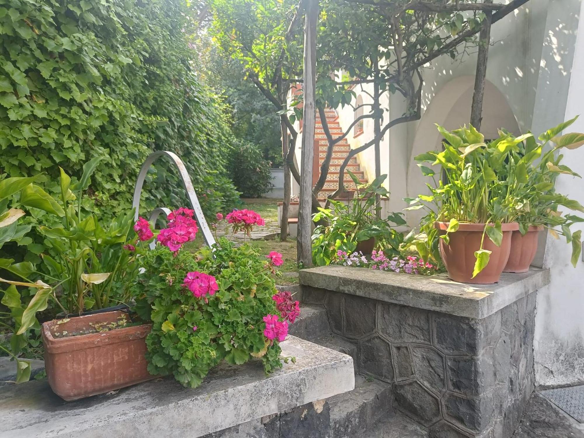 Casa Olivella Apartamento Torre del Greco Exterior foto
